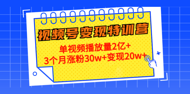 21天视频号变现特训营：单视频播放量2亿+3个月涨粉30w+变现20w+（第14期）-小齐资源库