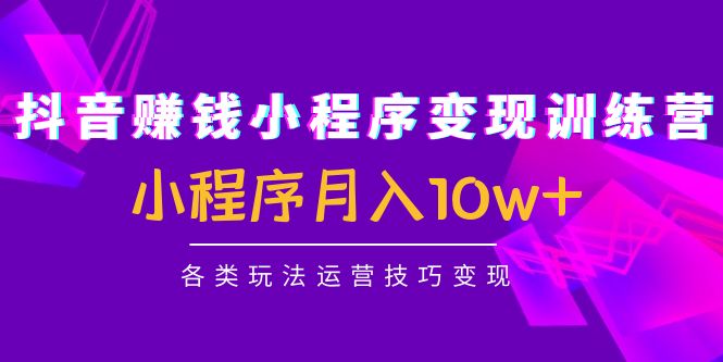 抖音赚钱小程序变现训练营：小程序月入10w+各类玩法运营技巧变现-小齐资源库