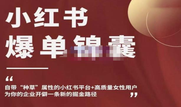 小红书爆单锦囊，自带种草属性+高质量女性用户，为你的企业开辟一条新的掘金路径-小齐资源库