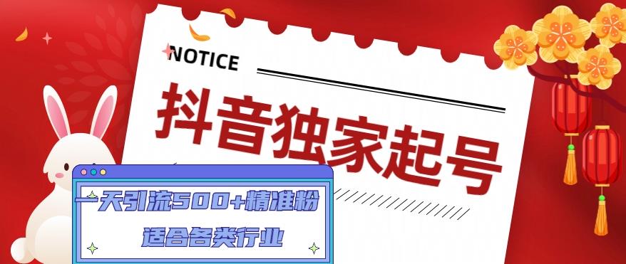 抖音独家起号，一天引流500+精准粉，适合各类行业（9节视频课）-小齐资源库