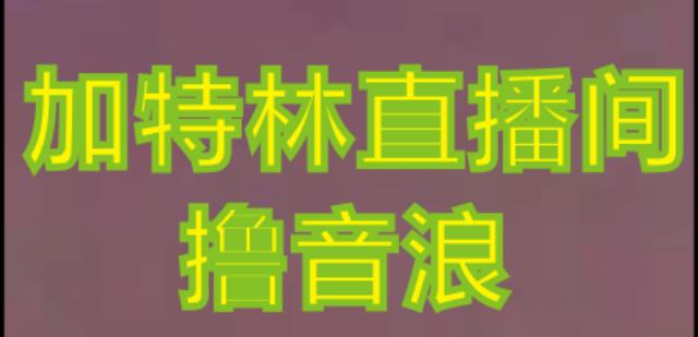 抖音加特林直播间搭建技术，抖音0粉开播，暴力撸音浪，2023新口子，每天800+【素材+详细教程】-小齐资源库