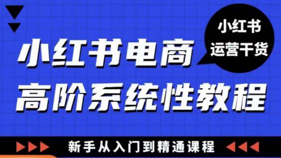 小红书电商高阶系统教程，新手从入门到精通系统课-小齐资源库