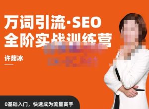 许茹冰·万词引流-SEO全阶实战训练营,0基础入门,快速成为流量高手-小齐资源库