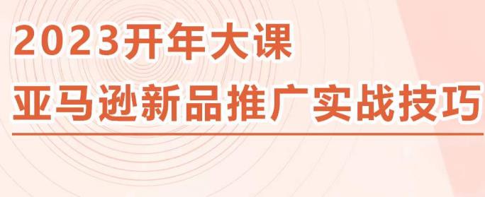 2023亚马逊新品推广实战技巧，线下百万美金课程的精简版，简单粗暴可复制，实操性强的推广手段-小齐资源库