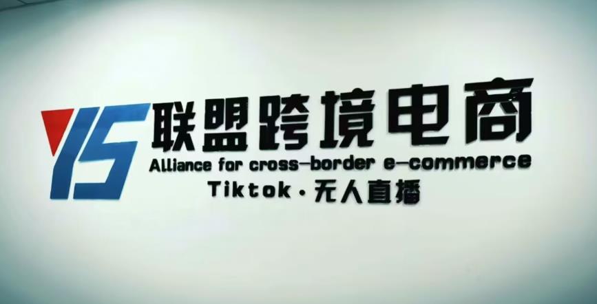 YS联盟·Tiktok无人直播，不出镜不剪辑不拍摄不发货无售后的跨境短视频躺赚玩法-小齐资源库