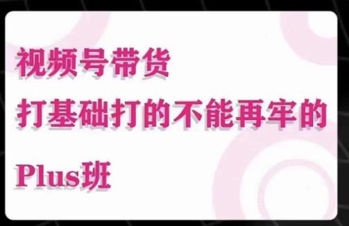 大播汇·视频号带货Puls班，视频号底层逻辑，起号自然流鱼塘等玩法-小齐资源库