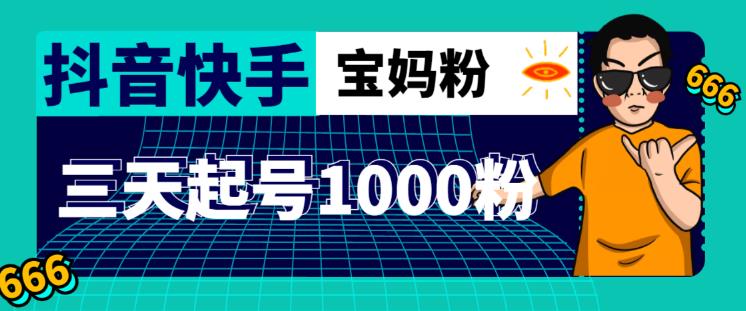 抖音快手三天起号涨粉1000宝妈粉丝的核心方法【详细玩法教程】-小齐资源库