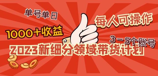 2023新细分领域带货计划：单号单日1000+收益不难，每人可操作3-5个账号-小齐资源库