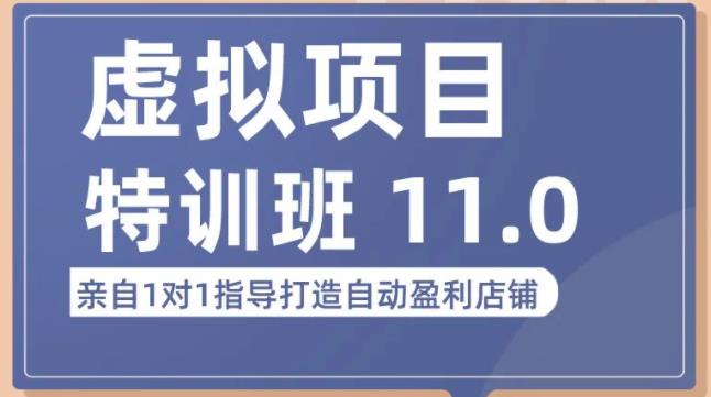 陆明明·虚拟项目特训班（10.0+11.0），0成本获取虚拟素材，0基础打造自动盈利店铺-小齐资源库