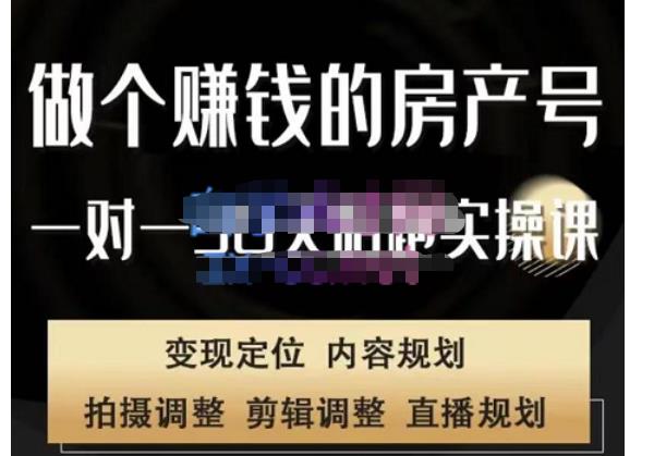 刘广标·同城房产号线上陪跑课，拍摄、剪辑、写文案、直播，做一个具有潜力价值的房产号-小齐资源库