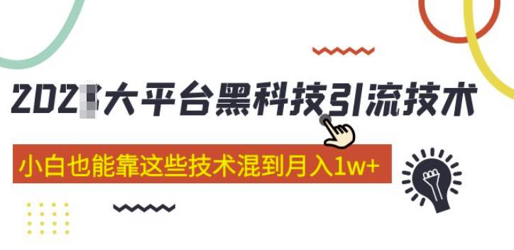 大平台黑科技引流技术，小白也能靠这些技术混到月入1w+(2022年的课程）-小齐资源库