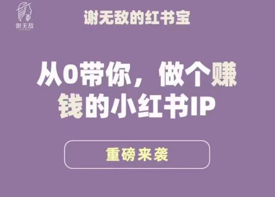 谢无敌·小红书运营大宝典，从0带你做个赚钱的小红书IP-小齐资源库