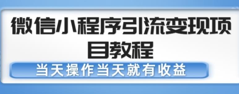 微信小程序引流变现项目教程，当天操作当天就有收益，变现不再是难事-小齐资源库