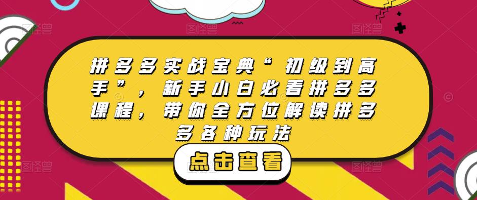 拼多多实战宝典“初级到高手”，新手小白必看拼多多课程，带你全方位解读拼多多各种玩法-小齐资源库