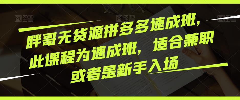 胖哥无货源拼多多速成班，此课程为速成班，适合兼职或者是新手入场-小齐资源库
