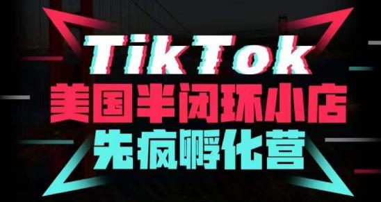 疯人院·TikTok美国半闭环小店孵化营，抢占TikTok美国蓝海市场，开店、运营、带货、投流全实操-小齐资源库