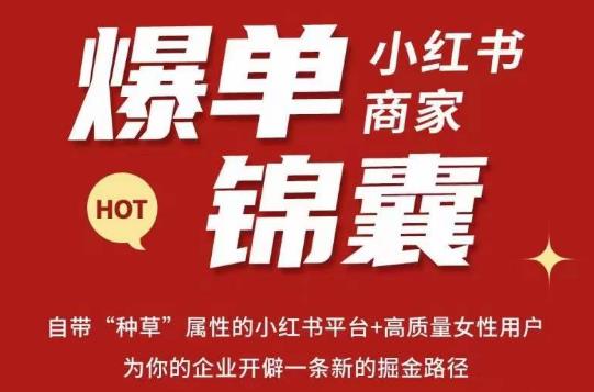 无畏·小红书商家爆单锦囊，掌握小红书各大规则，快速精准抢占行业和市场-小齐资源库