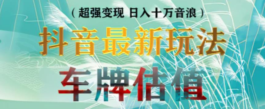 抖音最新无人直播变现直播车牌估值玩法项目，轻松日赚几百+【详细玩法教程】-小齐资源库