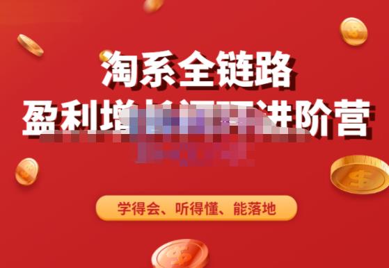淘系全链路盈利增长闭环进阶营，融合全店动销，学得会、听得懂、能落地！-小齐资源库