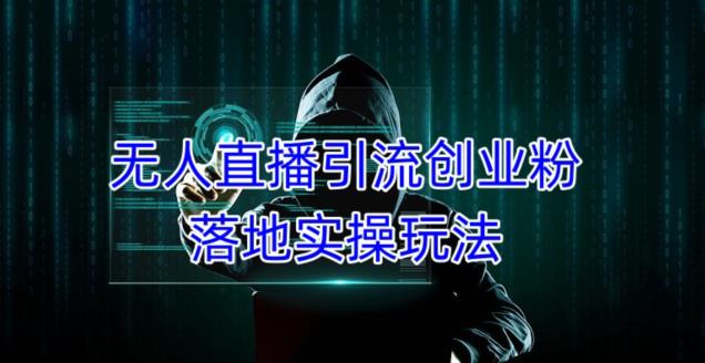 外面收费3980的无人直播引流创业粉落地实操玩法，单日引100+精准创业粉-小齐资源库