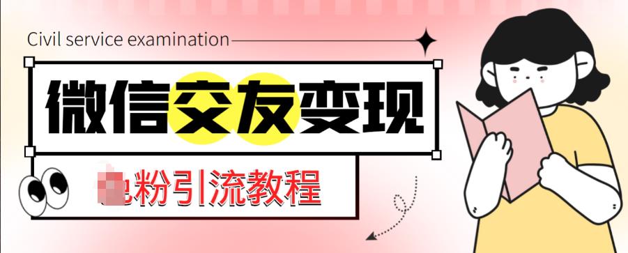 微信交友变现项目，吸引全网LSP男粉精准变现，小白也能轻松上手，日入500+-小齐资源库