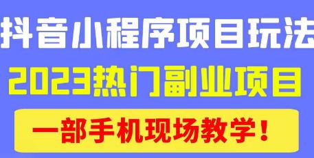 抖音小程序9.0新技巧，2023热门副业项目，动动手指轻松变现-小齐资源库
