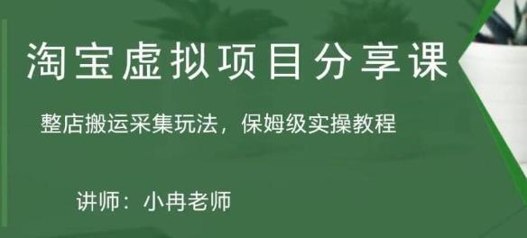 淘宝虚拟整店搬运采集玩法分享课：整店搬运采集玩法，保姆级实操教程-小齐资源库