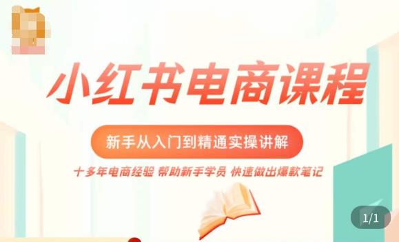 小红书电商新手入门到精通实操课，从入门到精通做爆款笔记，开店运营-小齐资源库
