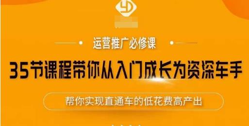 35节课程带你从入门成长为资深车手，让系统学习直通车成为可能，帮你实现直通车的低花费高产出-小齐资源库