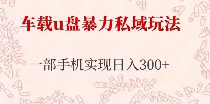 车载u盘暴力私域玩法，长期项目，仅需一部手机实现日入300+-小齐资源库