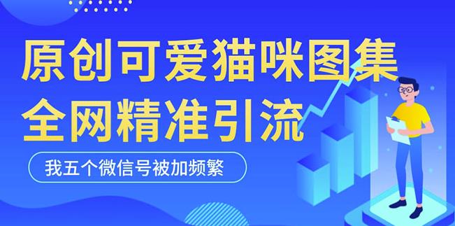 黑科技纯原创可爱猫咪图片，全网精准引流，实操5个VX号被加频繁-小齐资源库