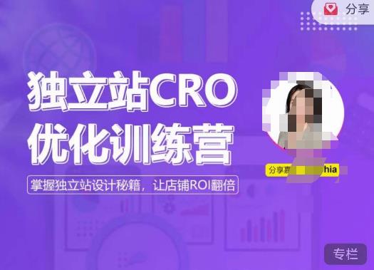 独立站CRO优化训练营，掌握独立站设计秘籍，打造高转化的独立站，让店铺ROI翻倍-小齐资源库