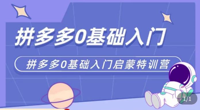 六一电商·拼多多运营0-1实操特训营，拼多多从基础到进阶的可实操玩法-小齐资源库