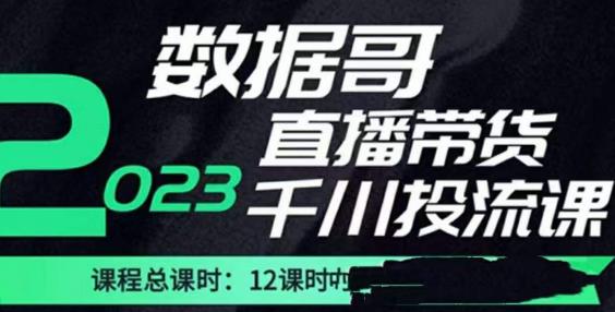 数据哥2023直播电商巨量千川付费投流实操课，快速掌握直播带货运营投放策略-小齐资源库