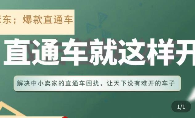 冠东·淘系直通车保姆级教程，全面讲解直通车就那么简单-小齐资源库