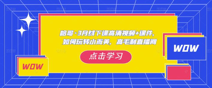 哈哥·3月线下实操课高清视频+课件，如何玩转小而美，高毛利直播间-小齐资源库