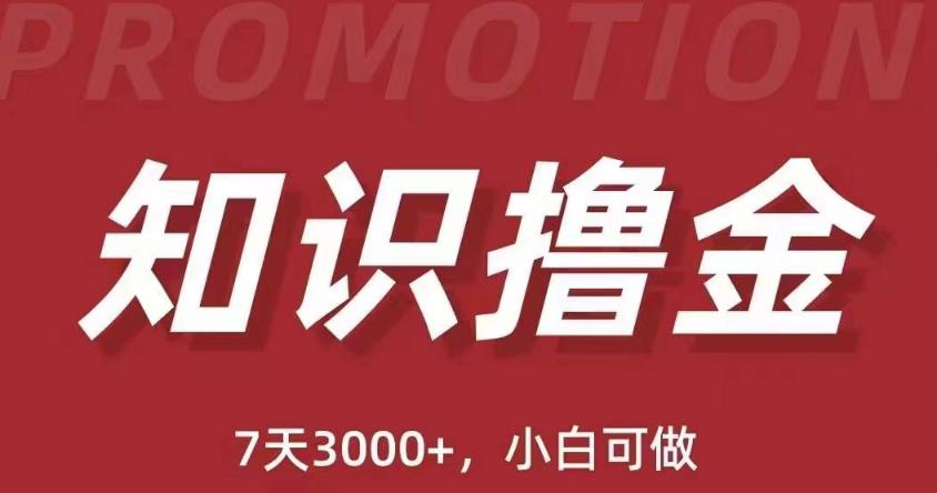 抖音知识撸金项目：简单粗暴日入1000+执行力强当天见收益(教程+资料)-小齐资源库