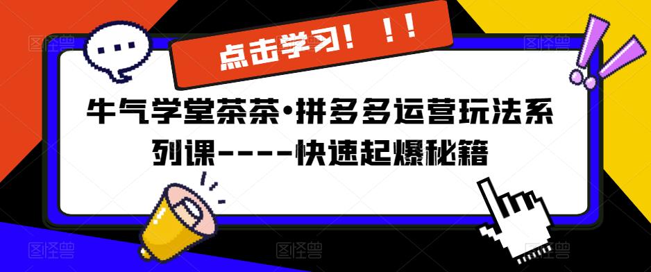 牛气学堂茶茶•拼多多运营玩法系列课—-快速起爆秘籍【更新】-小齐资源库