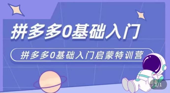 拼多多运营0-1实操特训营，拼多多0基础入门，从基础到进阶的可实操玩法-小齐资源库