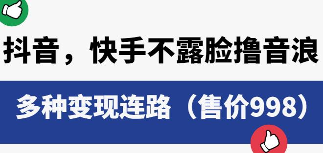 抖音快手不露脸撸音浪项目，多种变现连路（售价998）-小齐资源库