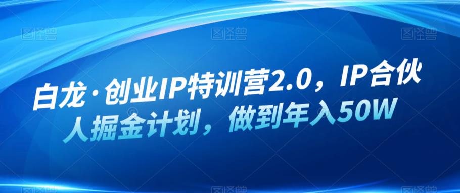 白龙·创业IP特训营2.0，IP合伙人掘金计划，做到年入50W-小齐资源库