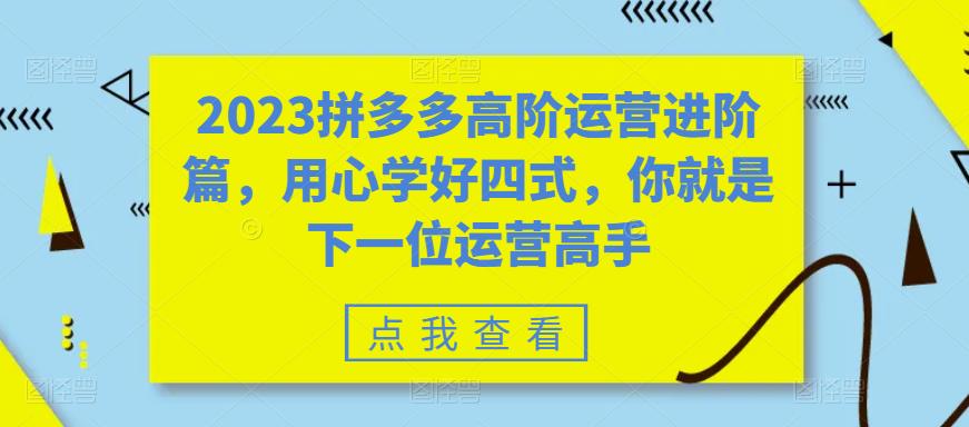 2023拼多多高阶运营进阶篇，用心学好四式，你就是下一位运营高手-小齐资源库