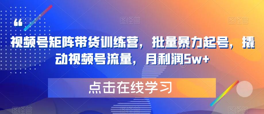 视频号矩阵带货训练营，批量暴力起号，撬动视频号流量，月利润5w+-小齐资源库