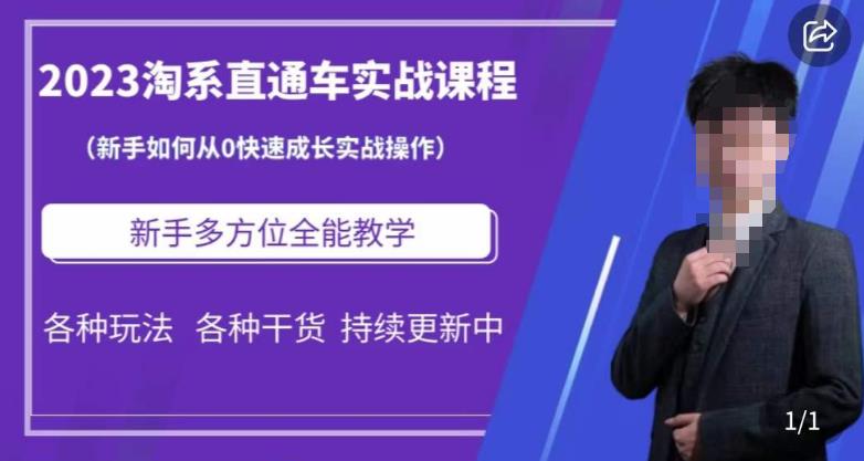2023淘系直通车保姆式运营讲解，新手如何从0快速成长实战操作，新手多方位全能教学-小齐资源库