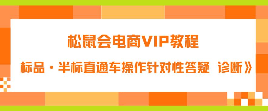 松鼠会电商VIP教程：松鼠《付费推广标品·半标直通车操作针对性答疑&诊断》-小齐资源库