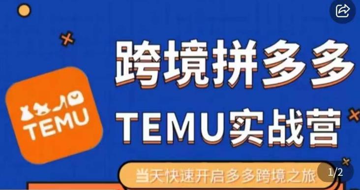 大鹏出海·拼多多跨境temu运营指导，开店注册+选品+核价上架，日出千单实战课-小齐资源库
