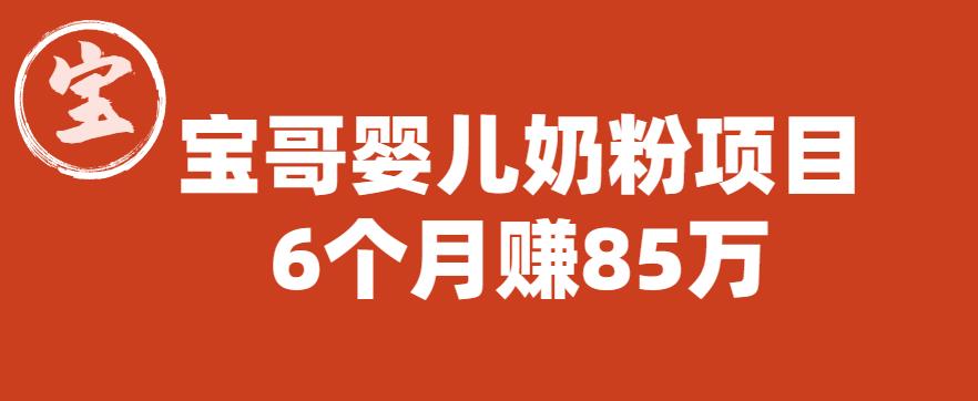 宝哥婴儿奶粉项目，6个月赚85w【图文非视频】【揭秘】-小齐资源库