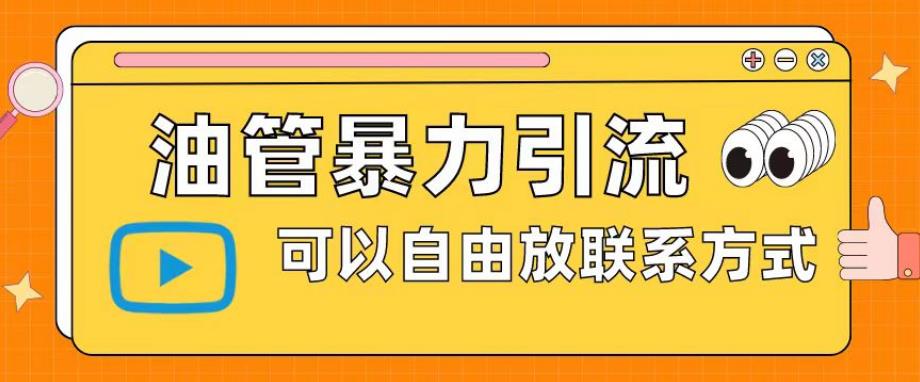 油管暴力引流，可以自由放联系方式【揭秘】-小齐资源库