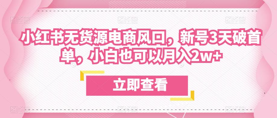 众狼电商余文小红书无货源电商风口，新号3天破首单，小白也可以月入2w+-小齐资源库