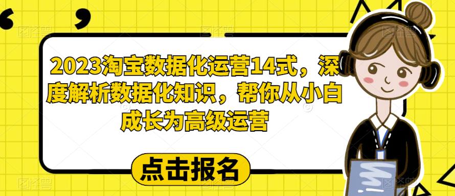 2023淘宝数据化运营14式，深度解析数据化知识，帮你从小白成长为高级运营-小齐资源库